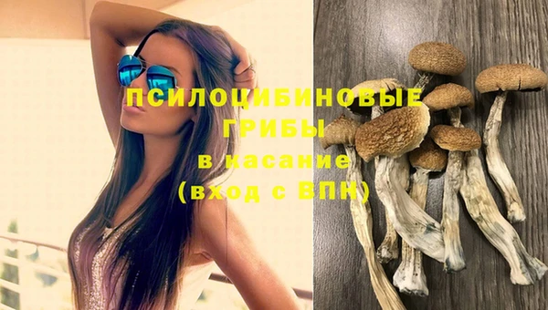 крисы Гусев