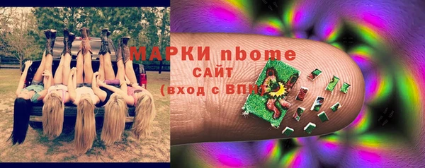 амф Горняк