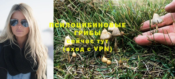 амф Горняк