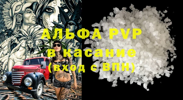 амф Горняк