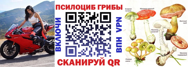 Галлюциногенные грибы Cubensis  Пятигорск 